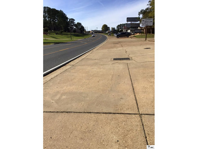 Seize your chance to invest in the heart of Farmerville! This - photo 2