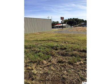 Seize your chance to invest in the heart of Farmerville! This - photo 5