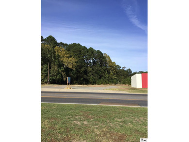 Seize your chance to invest in the heart of Farmerville! This - photo 7