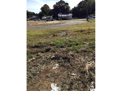 Seize your chance to invest in the heart of Farmerville! This - photo 8