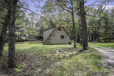 Secluded cabin near Bass Lake! - Lake Home For Sale in Pentwater, Michigan
