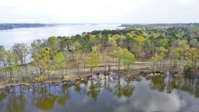 Build Your Dream Home in Legacy Shores on Lake Palestine - photo 20