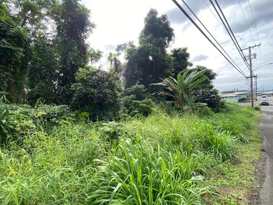 This 3,842 sq ft fairly level corner lot is ideally located in - photo 3