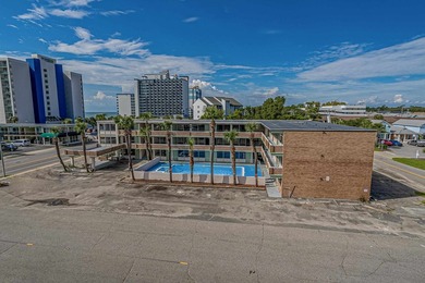 Introducing Palms By The Beach, a rare opportunity to own a - photo 6