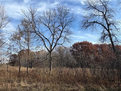 Blue Lake - Isanti County Lot For Sale in Zimmerman Minnesota