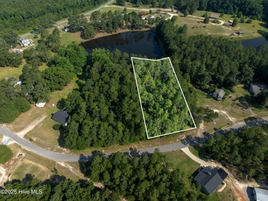 (private lake, pond, coastal) Lot For Sale in Ellerbe North Carolina
