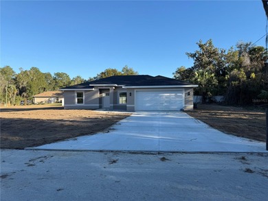 Bowers Lake Home For Sale in Ocala Florida