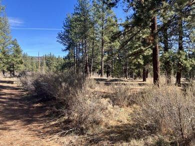 This Land has WELL and SEPTIC on its property. This Super 2.21 - photo 7