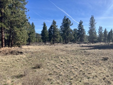 This Land has WELL and SEPTIC on its property. This Super 2.21 - photo 8