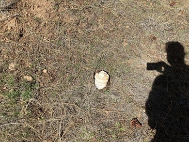 This Land has WELL and SEPTIC on its property. This Super 2.21 - photo 9