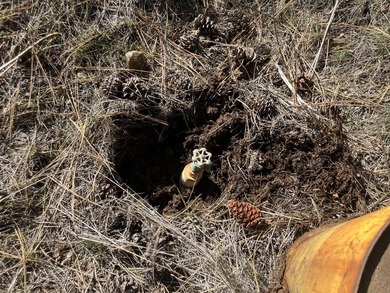 This Land has WELL and SEPTIC on its property. This Super 2.21 - photo 10