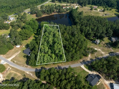 (private lake, pond, coastal) Lot For Sale in Ellerbe North Carolina