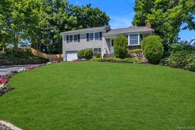 Move right into this beautifully updated split-level home - photo 1