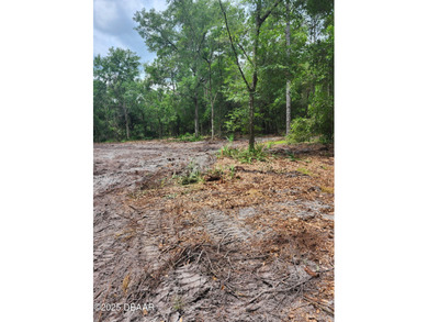 Lake George Lot For Sale in Georgetown Florida