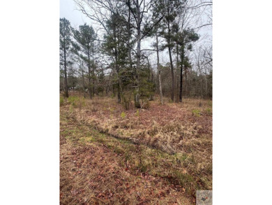 Lake Lot For Sale in Kirby, Arkansas