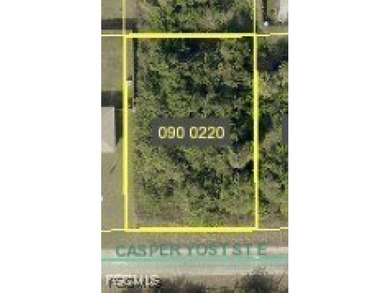 Lehigh Acres Area Lot For Sale in Lehigh Acres Florida