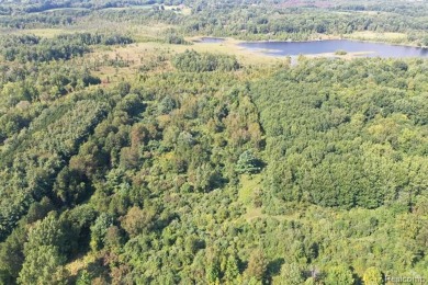 (private lake, pond, creek) Acreage For Sale in Attica Michigan