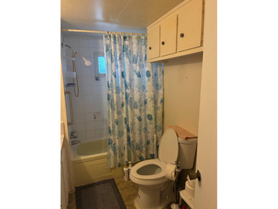 55+ community with the lowest lot rent in St. Petersburg! 3 - photo 14