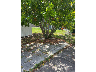 55+ community with the lowest lot rent in St. Petersburg! 3 - photo 26
