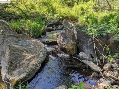 Discover this a serene 6.4-acre property offering the perfect - photo 11