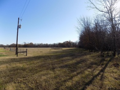 Approx 42 acres. There has been a 5.37 acre tract surveyed out - Lake Acreage For Sale in Point, Texas