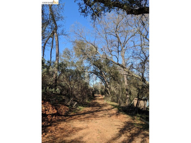 Discover this a serene 6.4-acre property offering the perfect - photo 15
