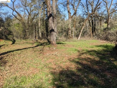 Discover this a serene 6.4-acre property offering the perfect - photo 16
