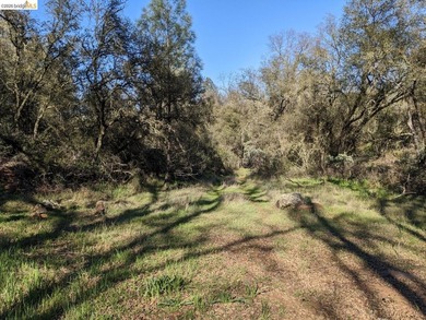 Discover this a serene 6.4-acre property offering the perfect - photo 17