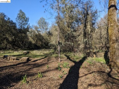 Discover this a serene 6.4-acre property offering the perfect - photo 18