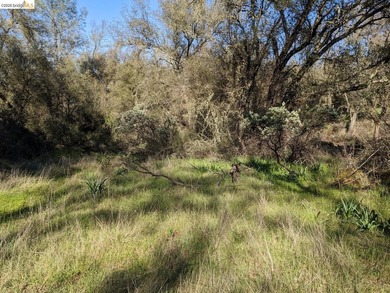 Discover this a serene 6.4-acre property offering the perfect - photo 19