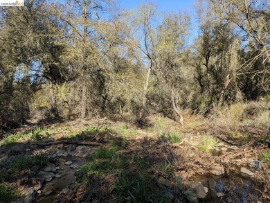 Discover this a serene 6.4-acre property offering the perfect - photo 21