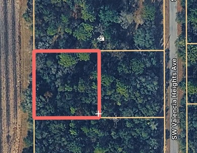 Bonable Lake Lot For Sale in Dunnellon Florida