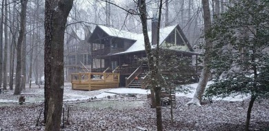 Lake Home For Sale in Ellijay, Georgia
