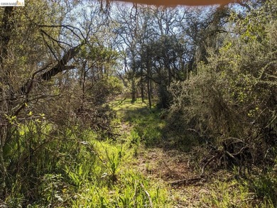 Discover this a serene 6.4-acre property offering the perfect - photo 22