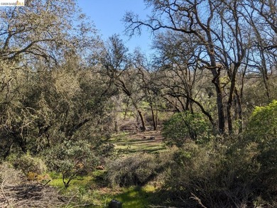 Discover this a serene 6.4-acre property offering the perfect - photo 23