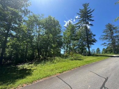 Lake Lot For Sale in Hiawassee, Georgia