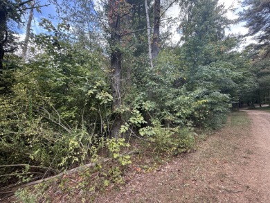 Pending: Building Lot by Axtel & Nick's Boat Dock - photo 8