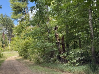Pending: Building Lot by Axtel & Nick's Boat Dock - photo 14