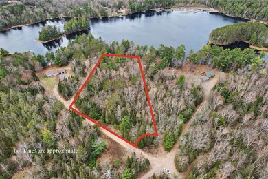 Sand Lake - Oneida County Acreage For Sale in Eagle River Wisconsin