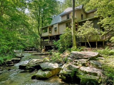 Lake Home For Sale in Ellijay, Georgia