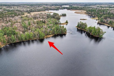 Escape to the Northwoods with this beautiful and private 2 - photo 3