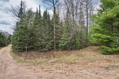 Escape to the Northwoods with this beautiful and private 2 - photo 4
