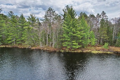 Escape to the Northwoods with this beautiful and private 2 - photo 8