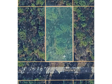 Bonable Lake Lot For Sale in Dunnellon Florida