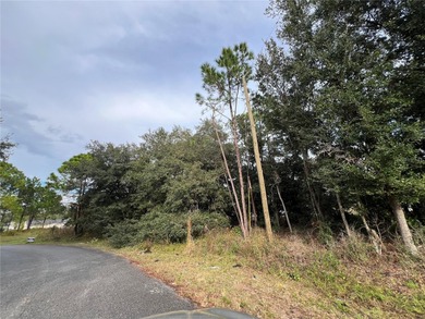 Lake Marion - Polk County Lot For Sale in Poinciana Florida