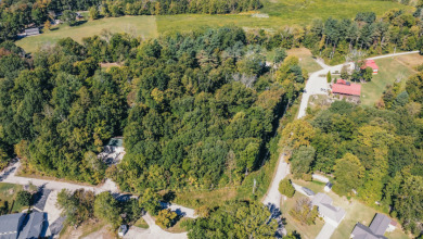 Pending: Building Lot by Axtel & Nick's Boat Dock - photo 17