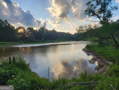Lake Acreage For Sale in Hampton, Georgia
