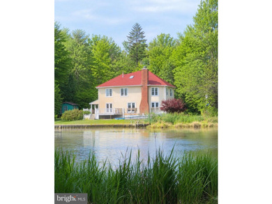 WELCOME to the Eastern Shore -- This charming Nantucket style - photo 1