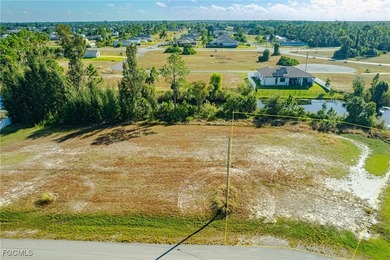 Experience Your Opportunity to Build Your Dream Home on this - photo 3