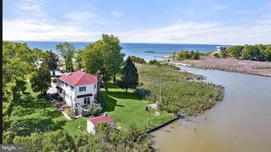WELCOME to the Eastern Shore -- This charming Nantucket style - photo 3